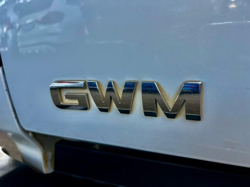 2023 Gwm P Series My20 2.0TD Sx S/cab 4X2 White